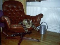 imag0001.jpg