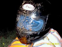 149.im002168 (medium).jpg