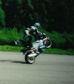 övriga 0234.jpg