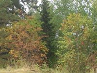 Bild 009.jpg