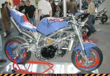 suzspon02-rheinb2002.jpg