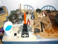 CIMG0159 (Large).JPG