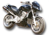 hornet900-1[1].jpg
