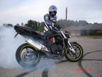 ryggen 002mod.JPG