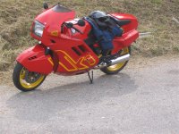 Bmw (Medium).jpg