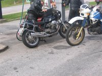 Guzzi (Medium).jpg