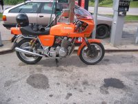 orange (Medium) (2).jpg