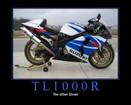 motivatorTL1000R.jpg