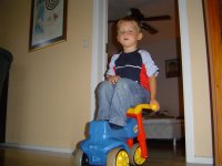 DSC00060 (Large).JPG