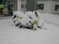 winter01.sized.jpg