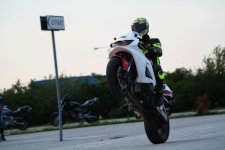 IMG_0083alex.jpg