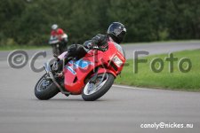 IMG_2219.jpg