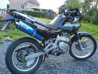 Pauls DOMINATOR 02a.JPG