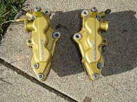 DSC05960 (Medium).JPG