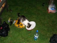 CIMG0633 (Large) (Medium).JPG
