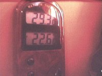 293.JPG