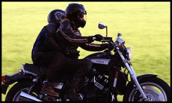 IMG_0548.jpg