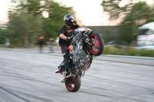 IMG_2217.jpg