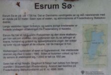 sjön.jpg