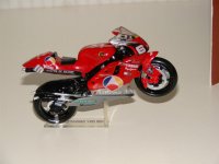 DSC01361 (Large).JPG
