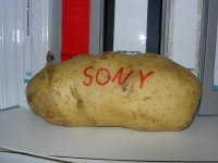 DSCN3010.JPG