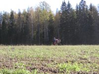 P1010003....JPG