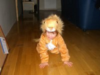 CIMG0734 (Large).JPG
