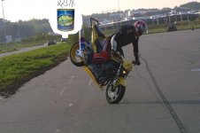 niklas1.jpg