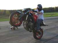 IMG_1865.jpg