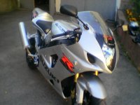 suzuki (10).jpg