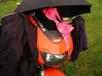 sh08.jpg