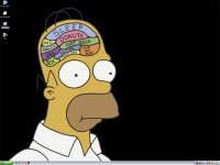 homer.jpg