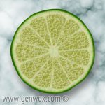 lime.jpg