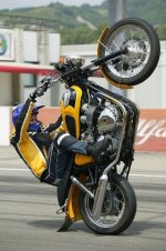 Bonneville wheelie.jpg
