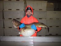 jag med fisk.JPG