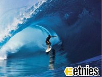 ottoflores_1024x768 ps.JPG