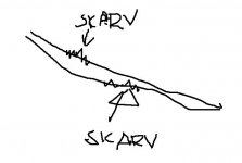 skarv.JPG