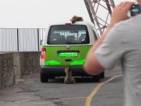 IMG_0220.JPG