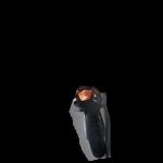 bloms.jpg