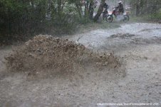 IMG_5194.jpg