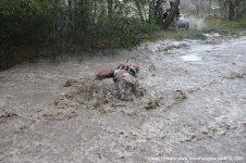 IMG_5195.jpg