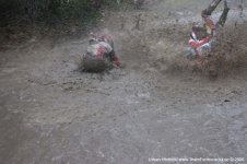 IMG_5196.jpg