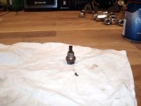 P1010010 kopiera.jpg