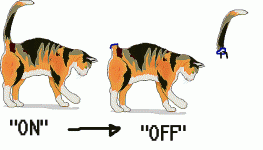 Katt.gif