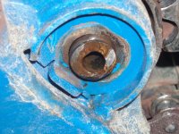 P1010067 kopiera.jpg