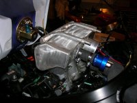 DSCN0497 (Large).JPG