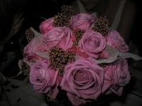 IMG_1196.JPG