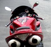 IMG_0450_2.jpg