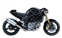 Suzuki_SV2007rombyggd.jpg