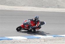 dsc_3445.jpg